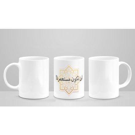 NEM LESZÜNK GYARMAT - ARABUL